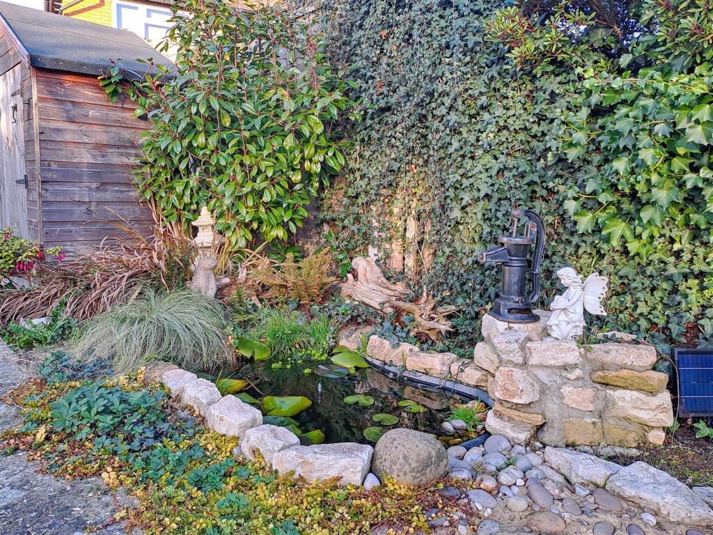 Pond