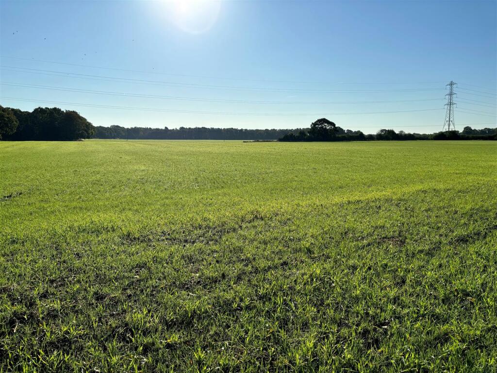 Photo 11-10-2024, 10 25 32.jpg