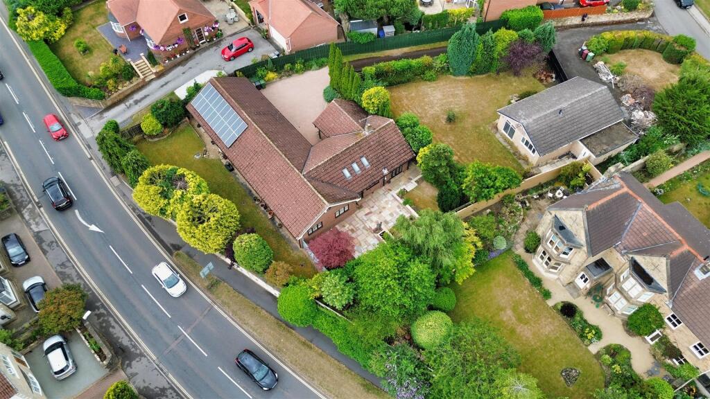 DJI_0007.jpg
