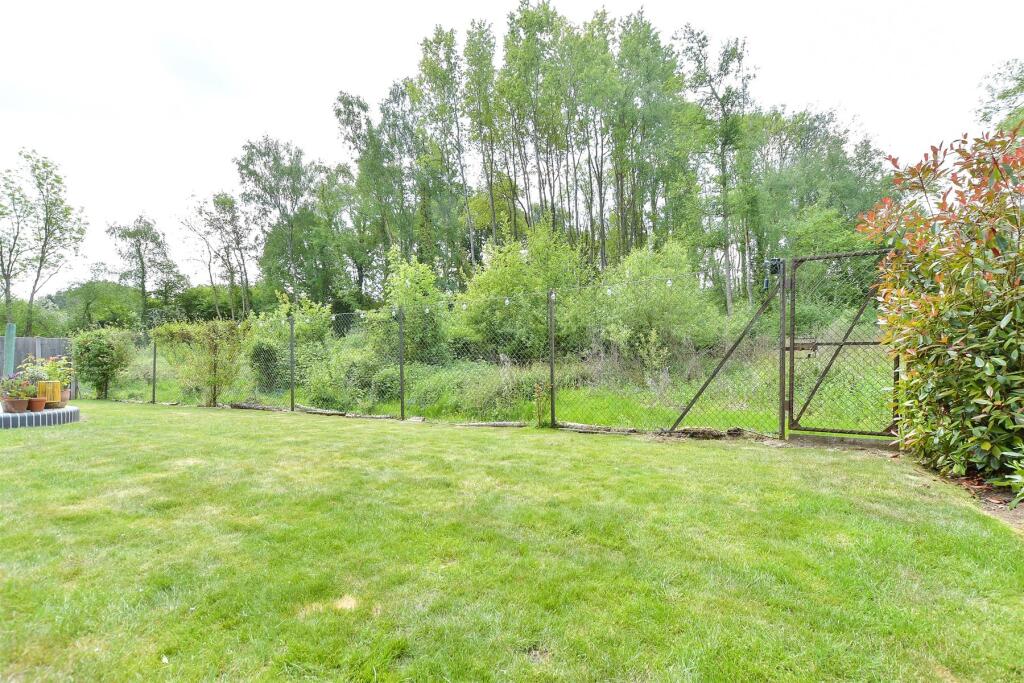 Rear Garden (Original)