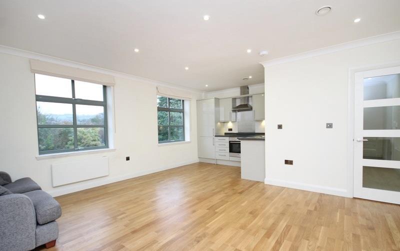 Living Kitchen_Snapseed.jpg