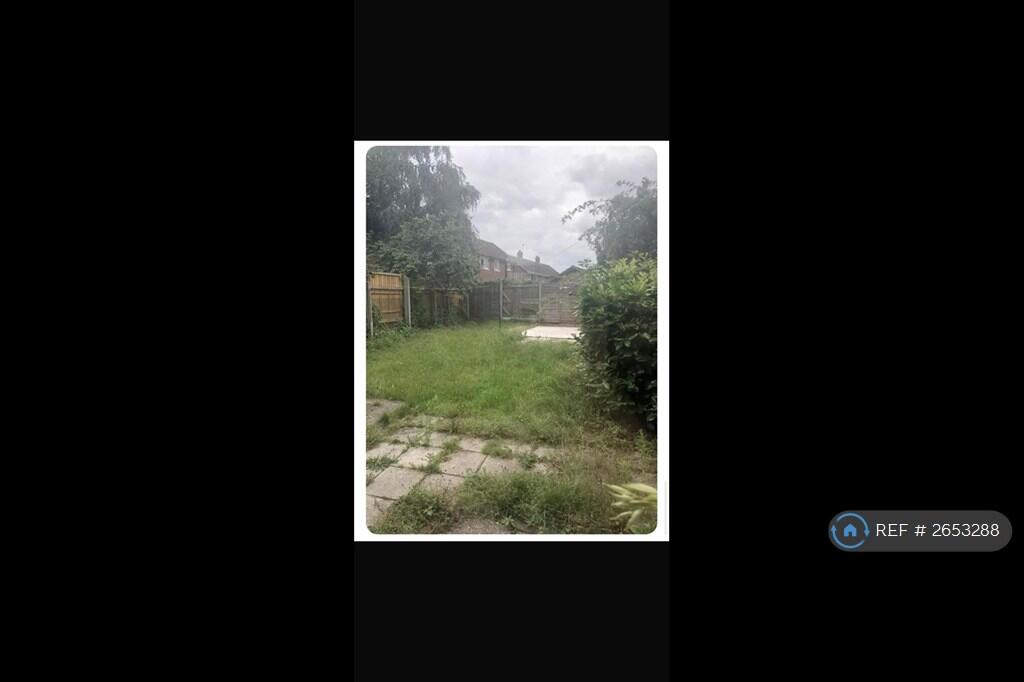 Back Garden