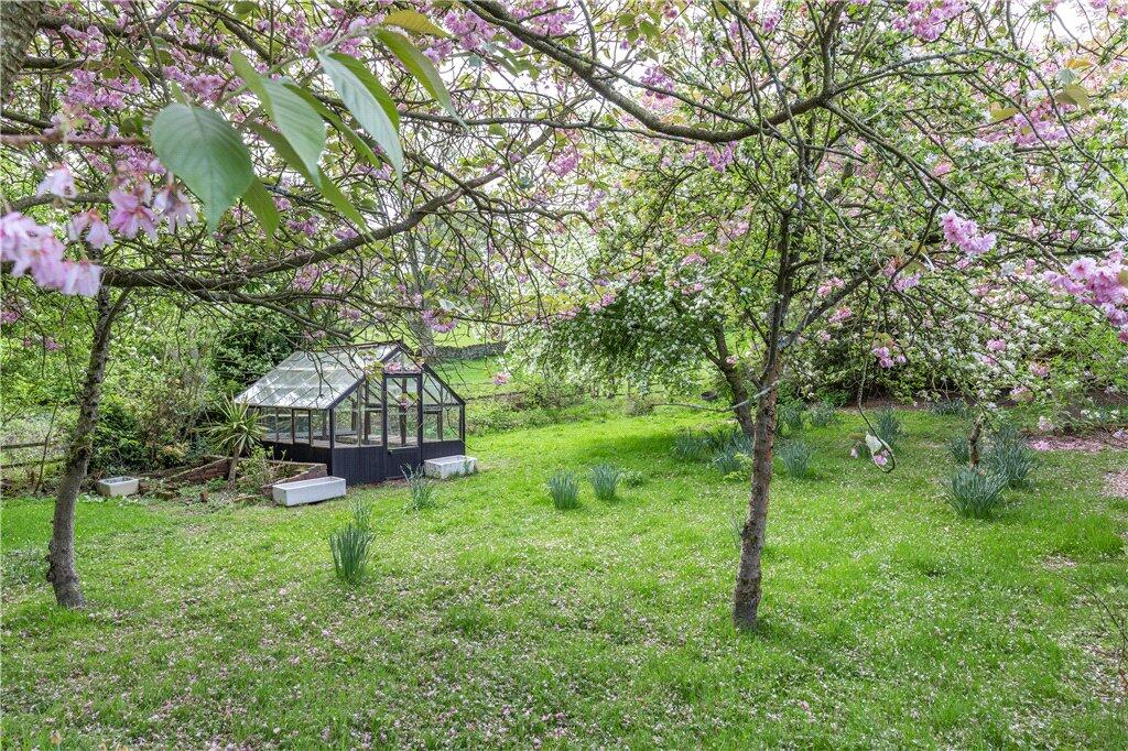 Orchard