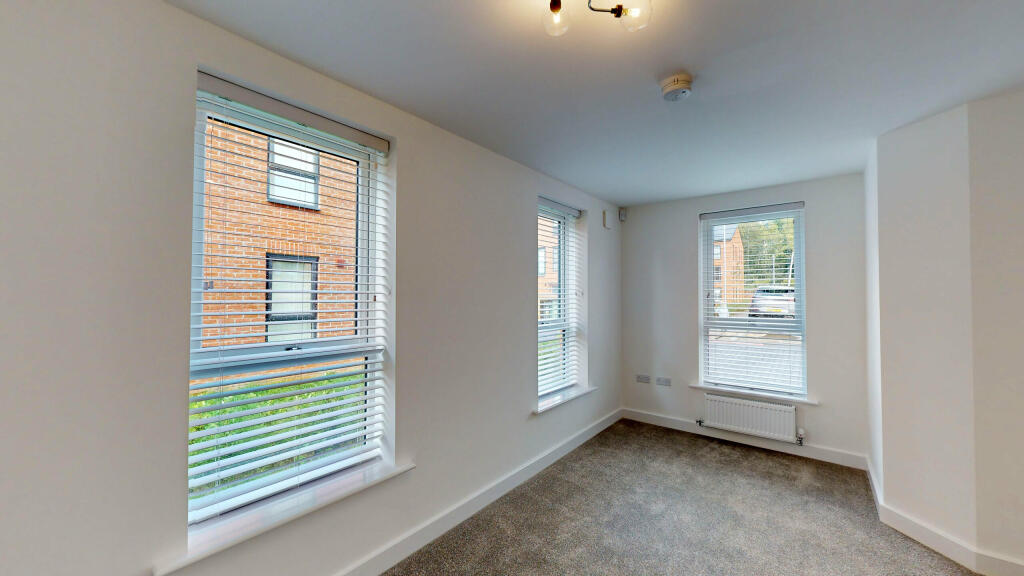 35-Copper-Beech-10052023_174239