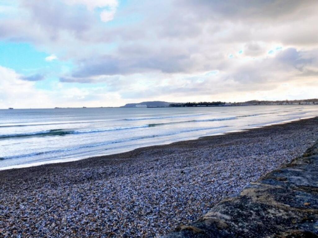 Local Beach
