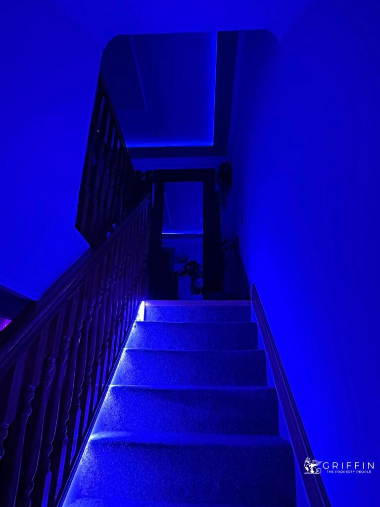 24nightshot5