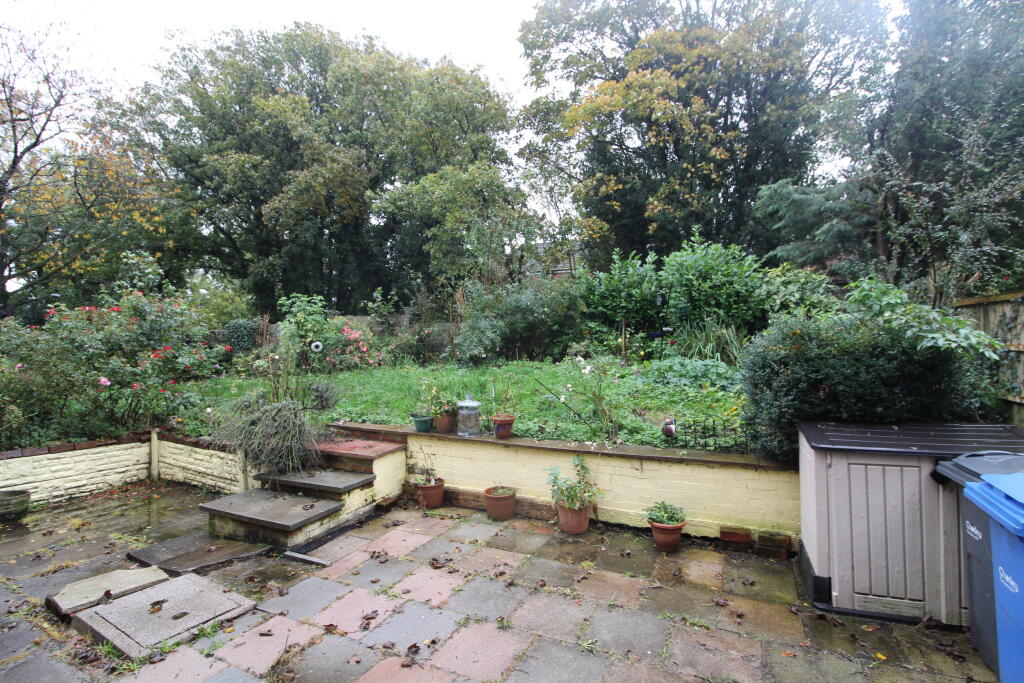 IMG 7039 T202510231138.jpg