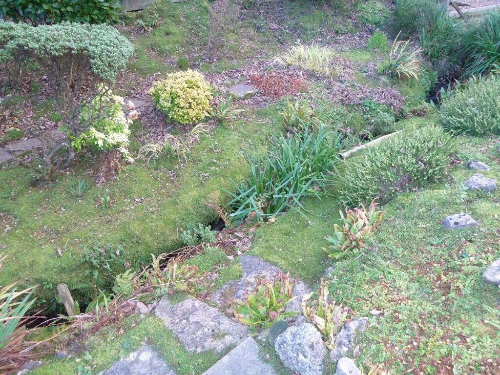 Small stream