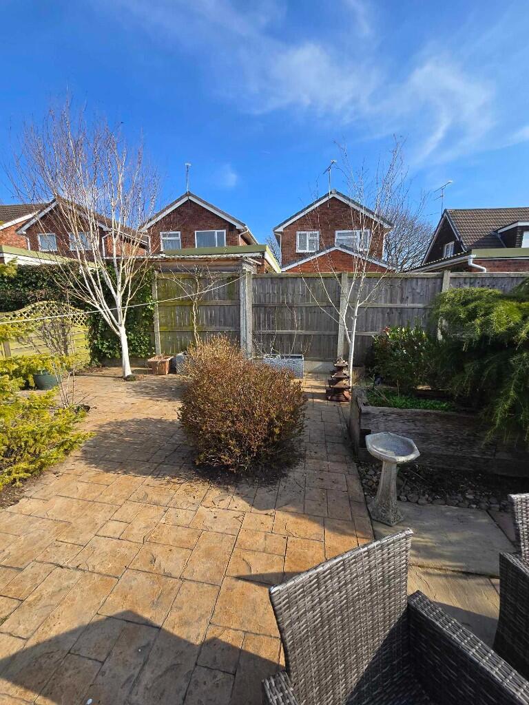 Back garden