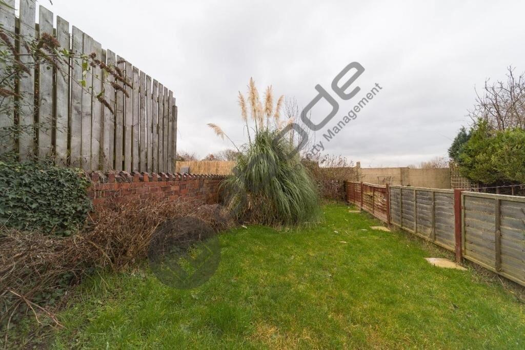 Back Garden