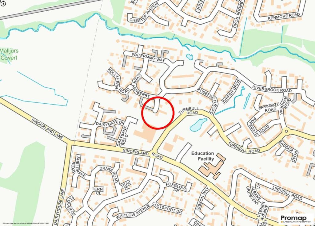 Street Plan