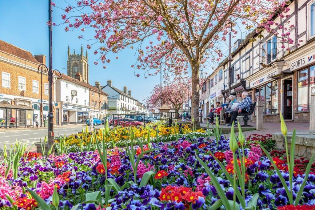 Flowers Close Up.jpg