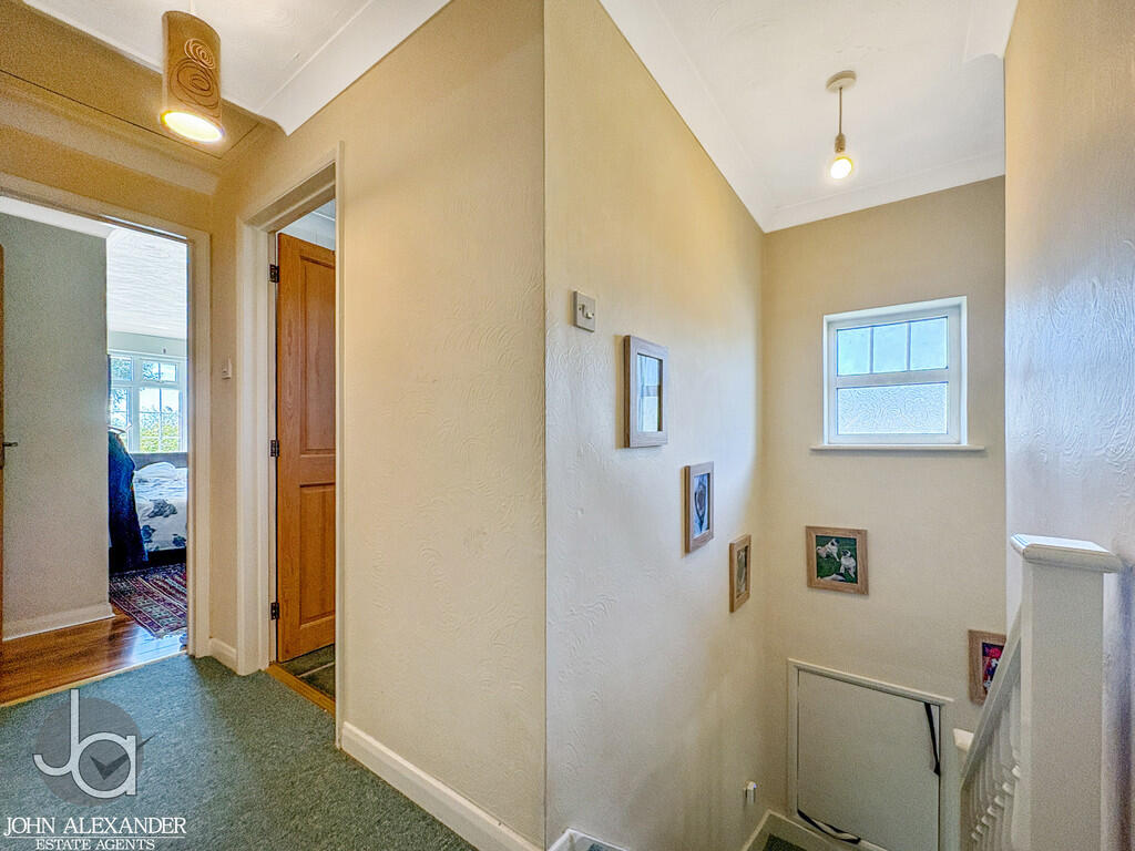 20250410_13134132...