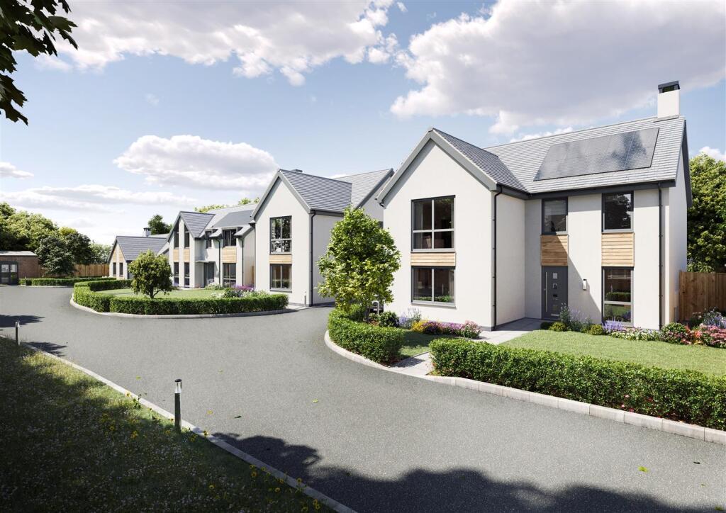 Street Scene Day.jpg