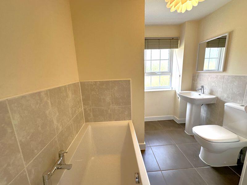 Family bath/shower room