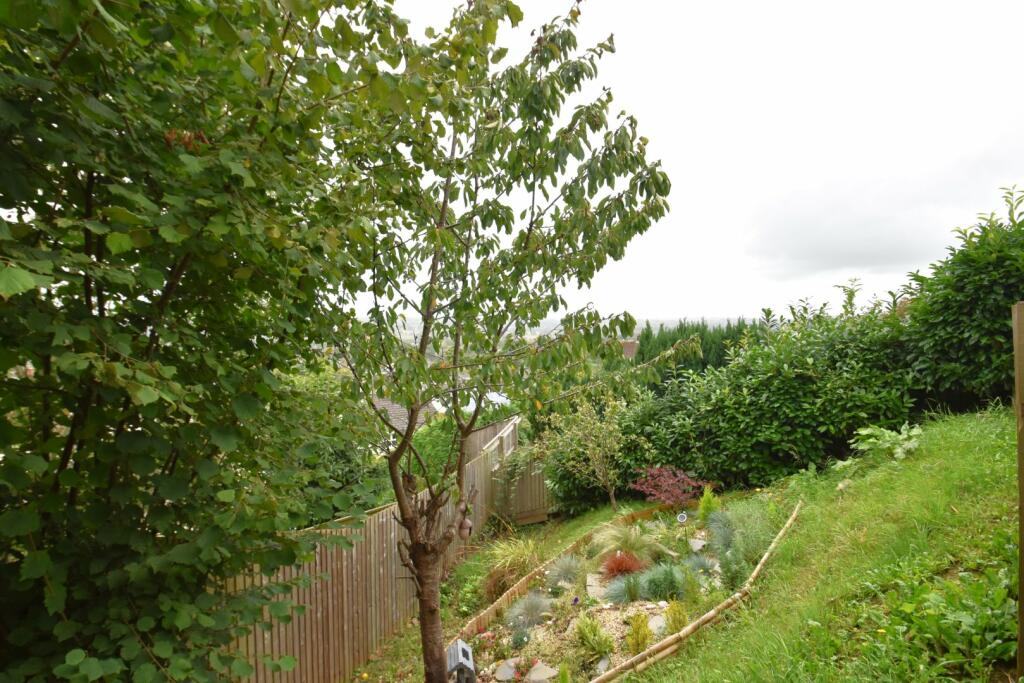 Tiverton, Seddons