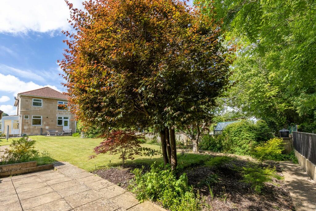 Rear of Property