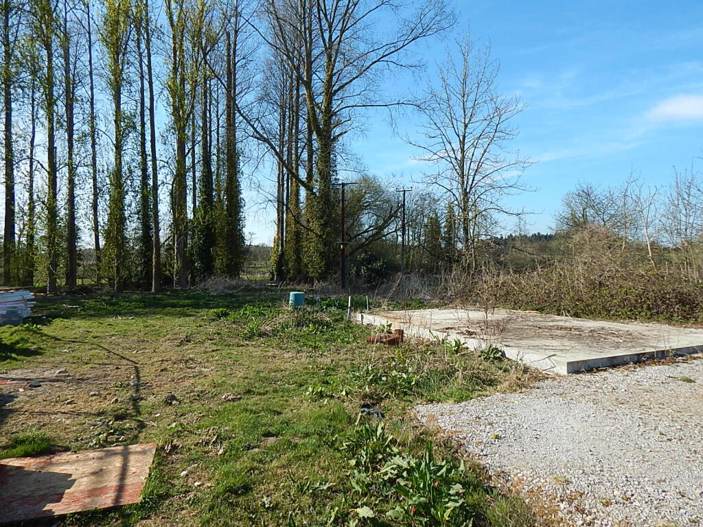 4 T202504111057.jpg