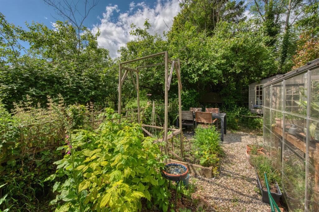 Vegetable Garden  .jpg