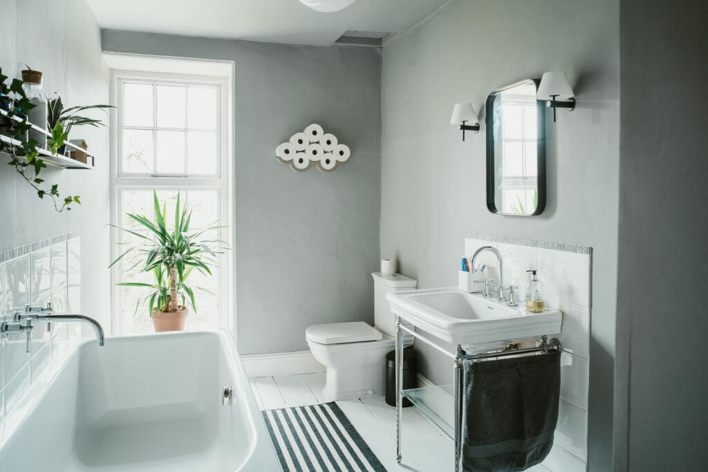 272617 - B0012911.jpg