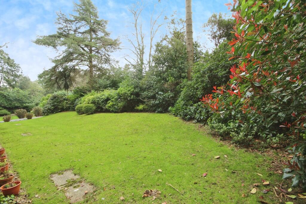 Communal Garden