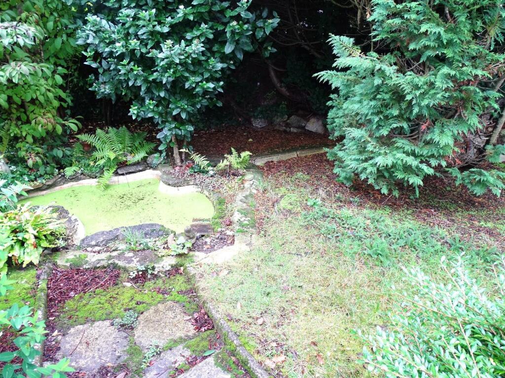 POND FEATURE