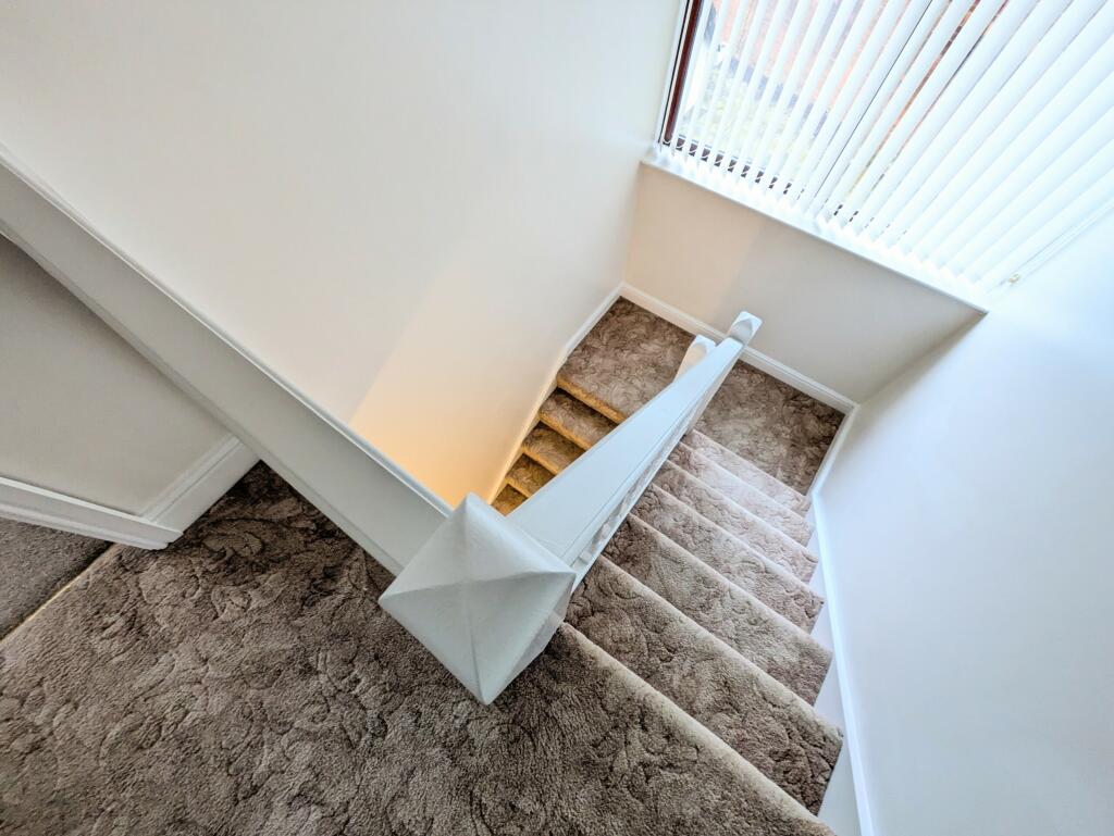 PXL_20241220_103346319.MP~2