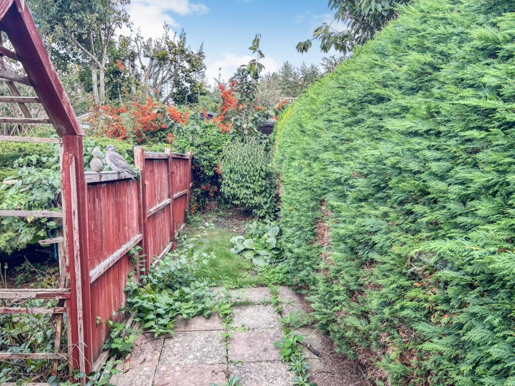 tlc_cef53d01-170a-4838-9667-6f8c6e2cf9b5_a1755b8.j