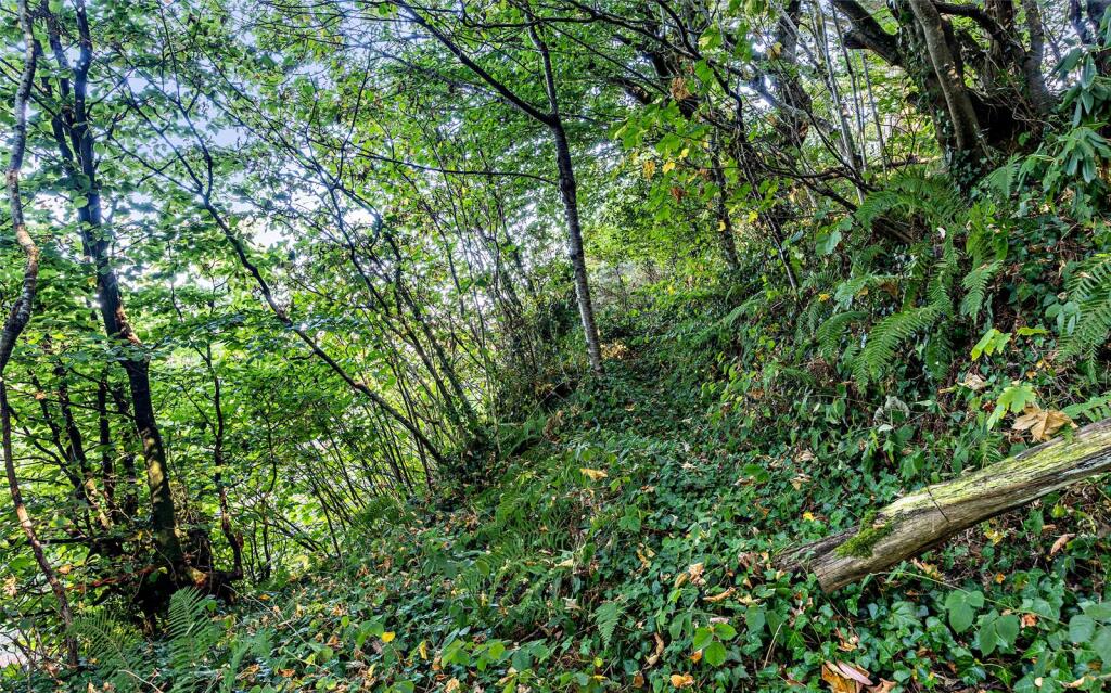 Woodland