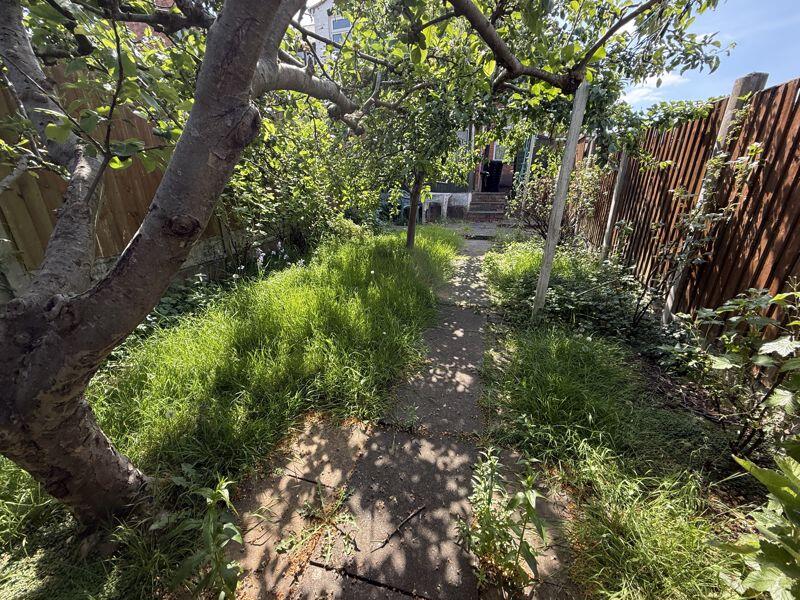 Photo 25