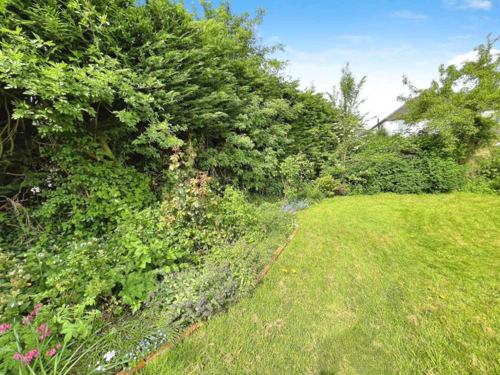 user_edited_photo-086a1898_user-edited-b5129070-59