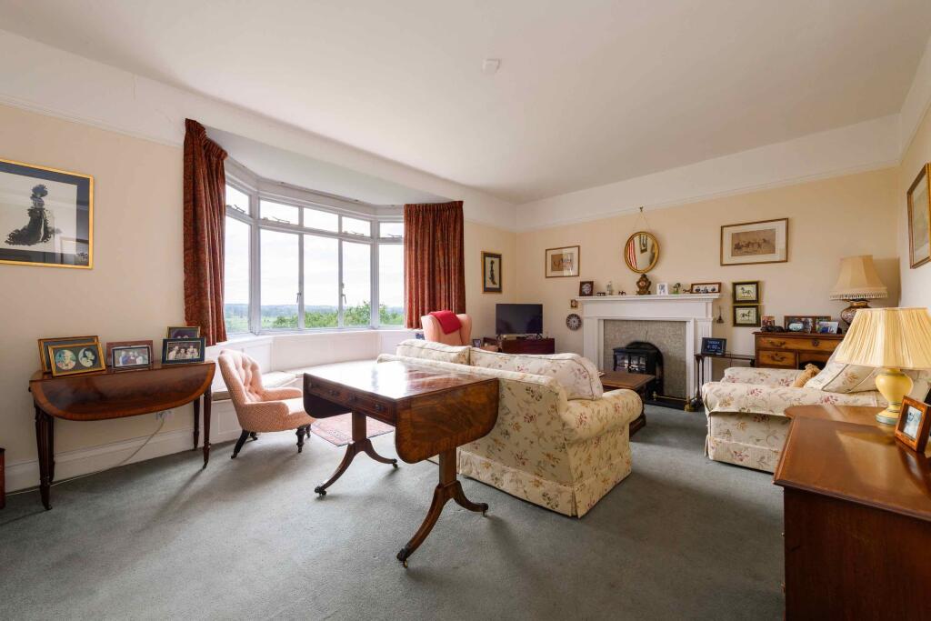 TEK HiRes 240827 055.jpeg