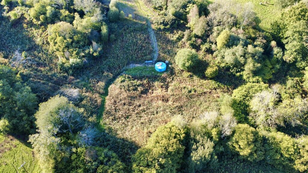 dji_fly_20250925_165630_939_1760706669698_photo_op