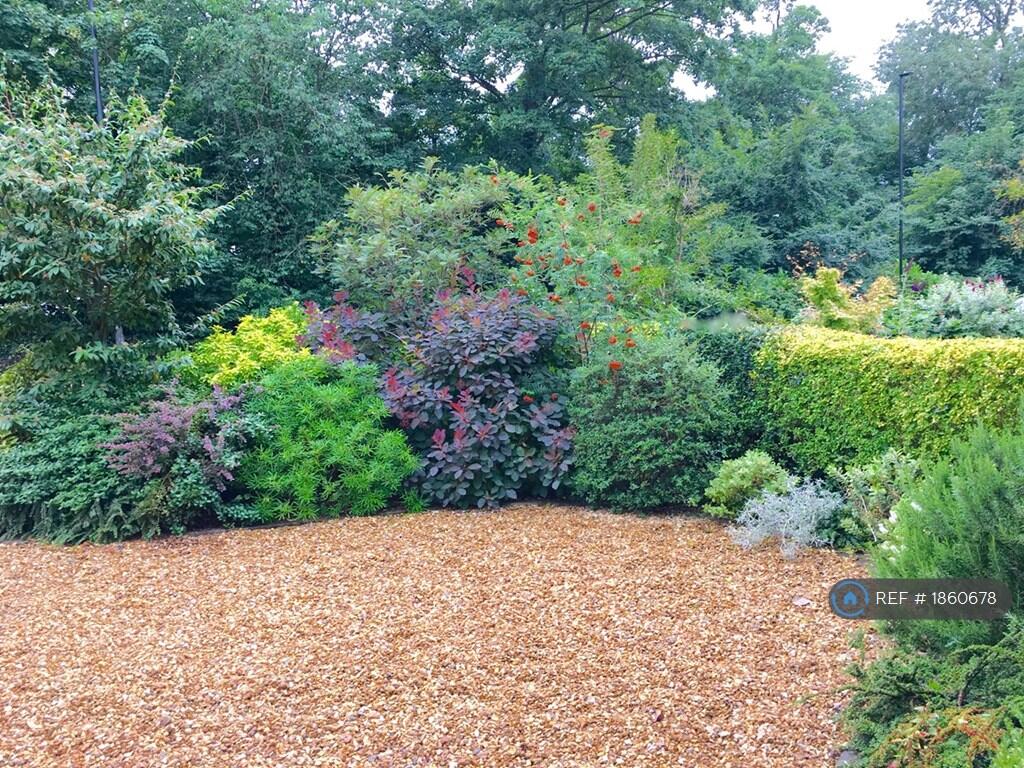 Front Garden Parking For 2 To 3 Cars