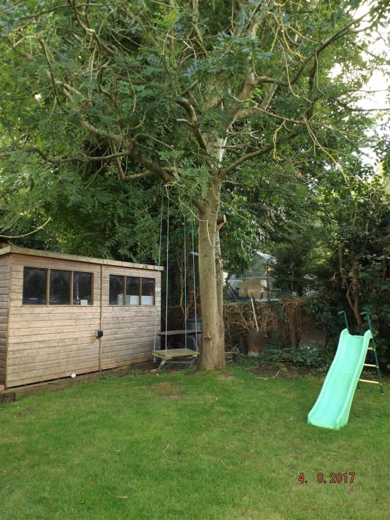 Shed