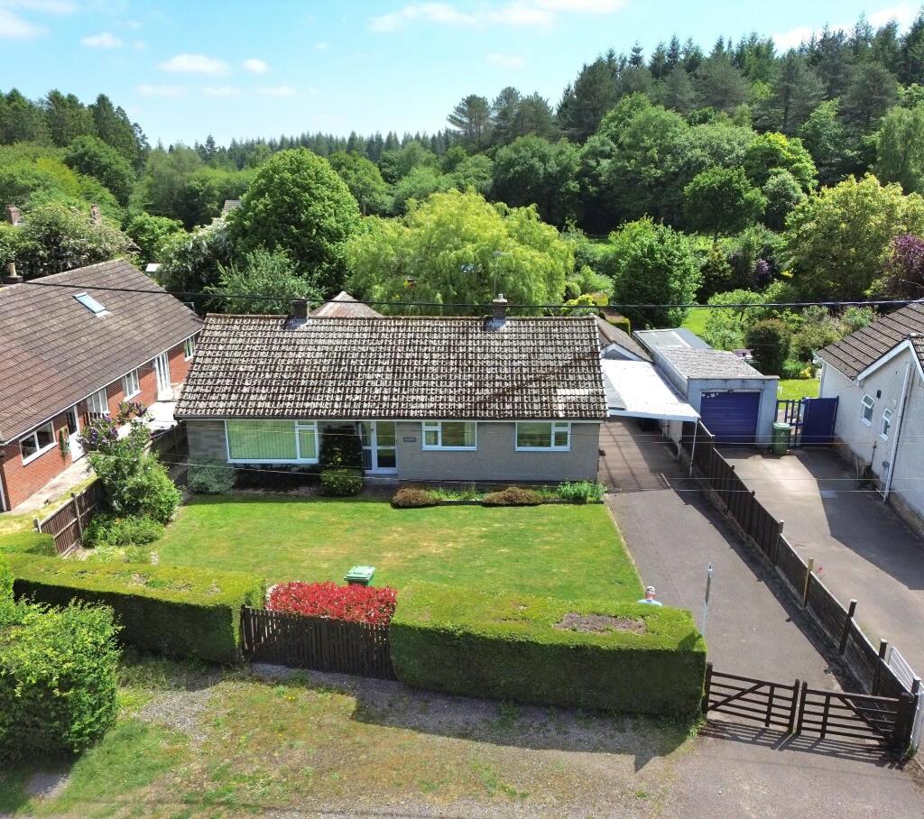 picture taken by the vendor