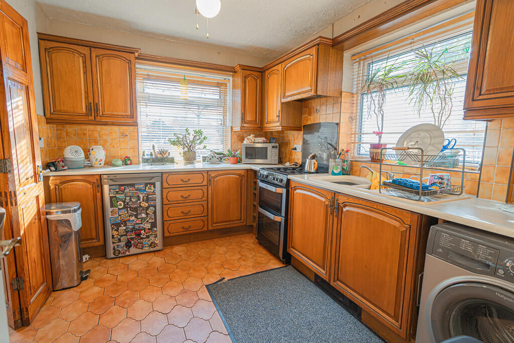 20251119-DSC07234...