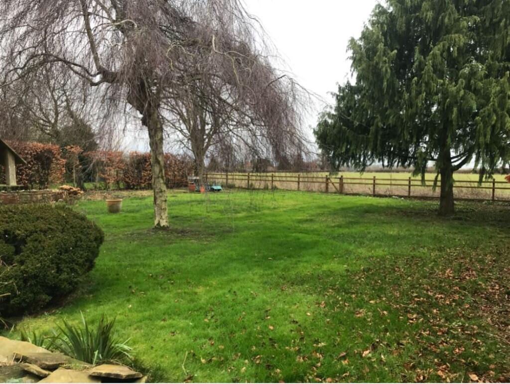 Rear garden