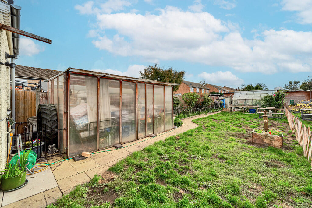 Camellia edited g...