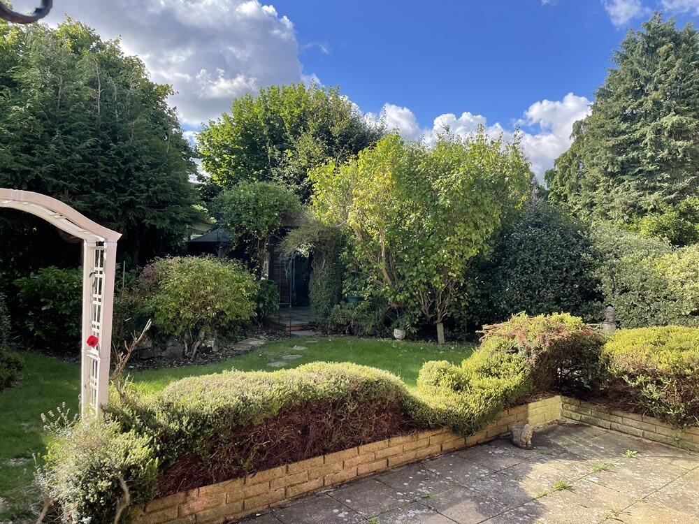 Back garden