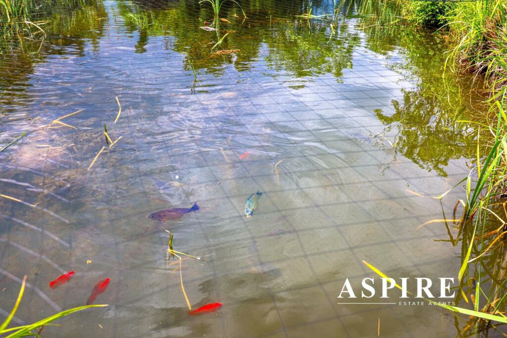 Aspire Benfleet49.jpg