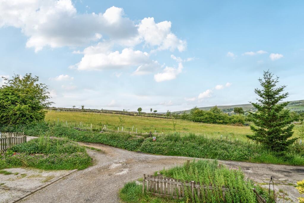 1310096-19-685972eae01d7