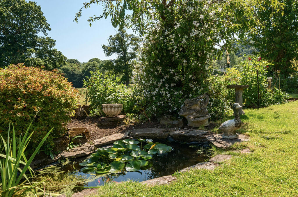 Pond
