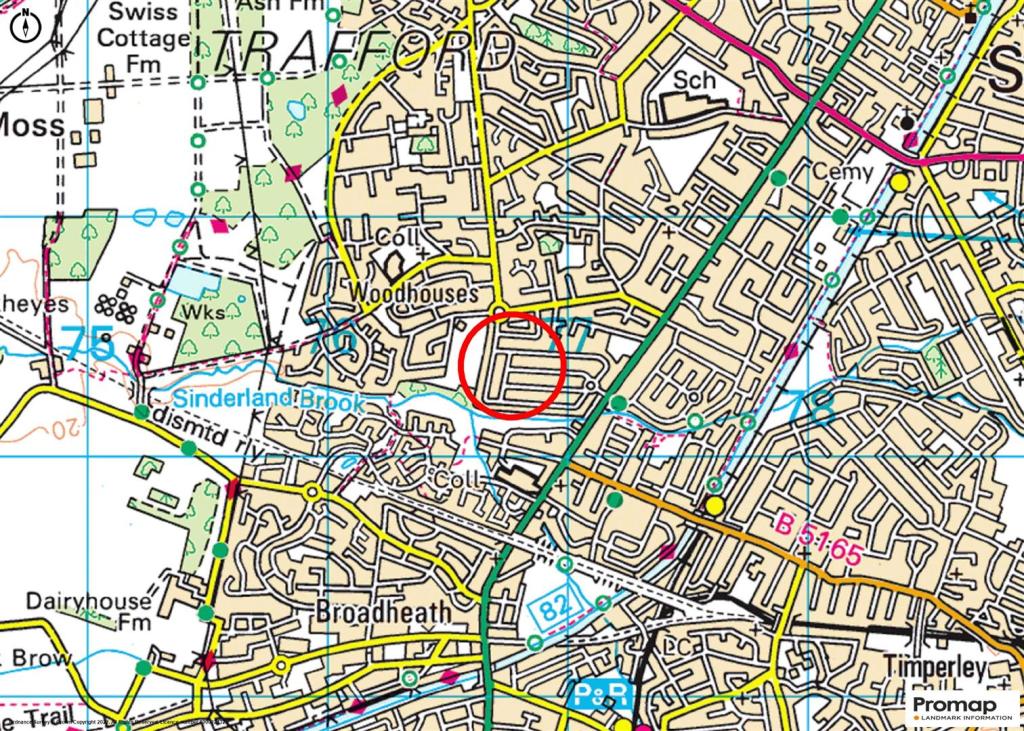 Town Plan.jpg