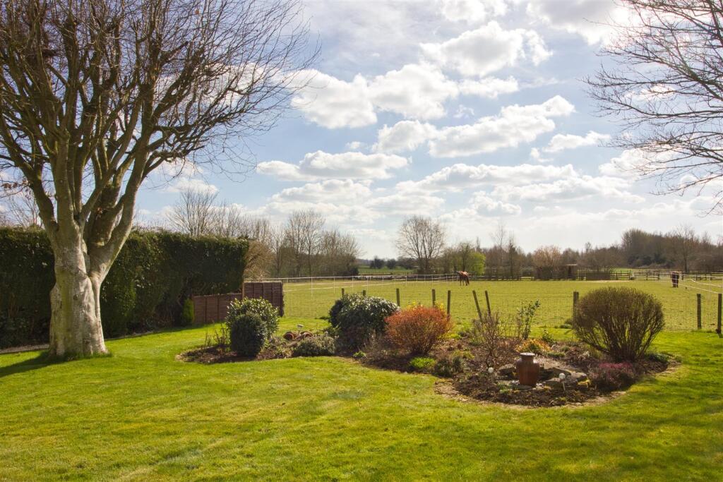 Rear garden view