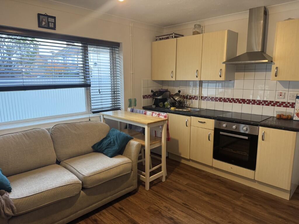 3  Medium  T202511051457.jpg