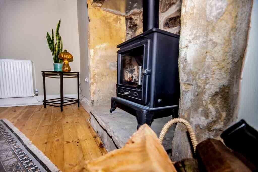 Ted &amp; Tortois...