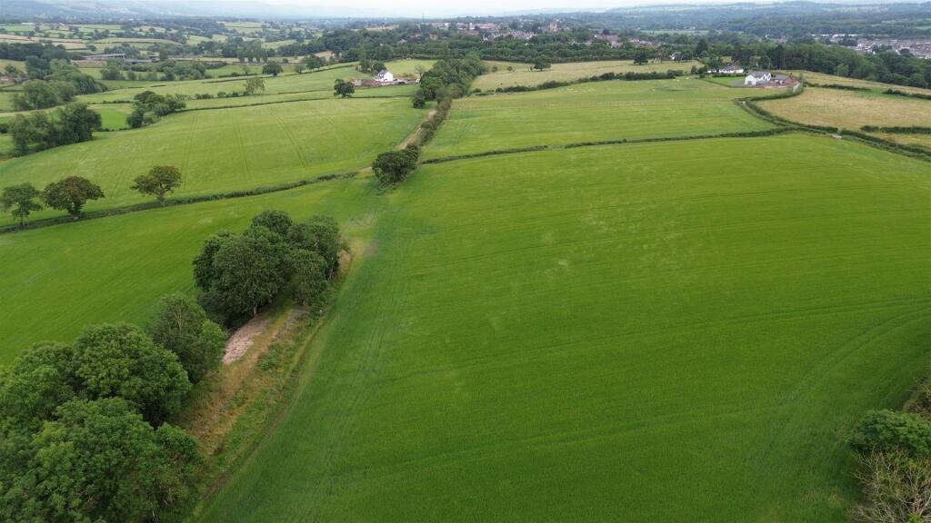 DJI_0559.JPG