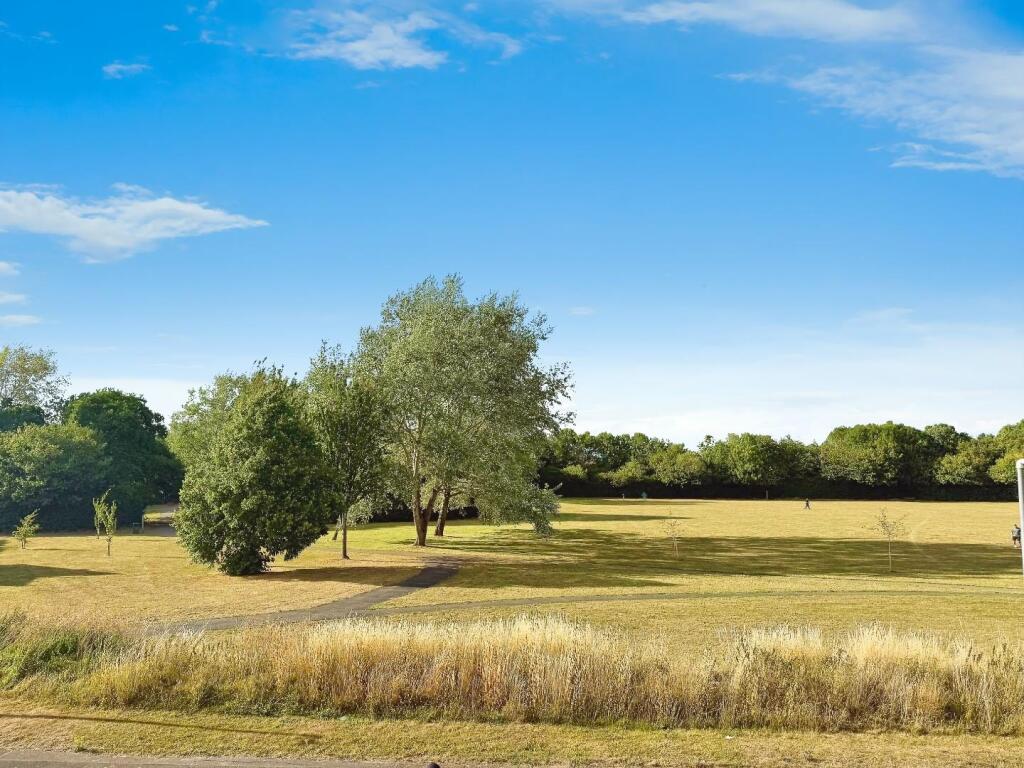 22 Coopers front view a.jpg