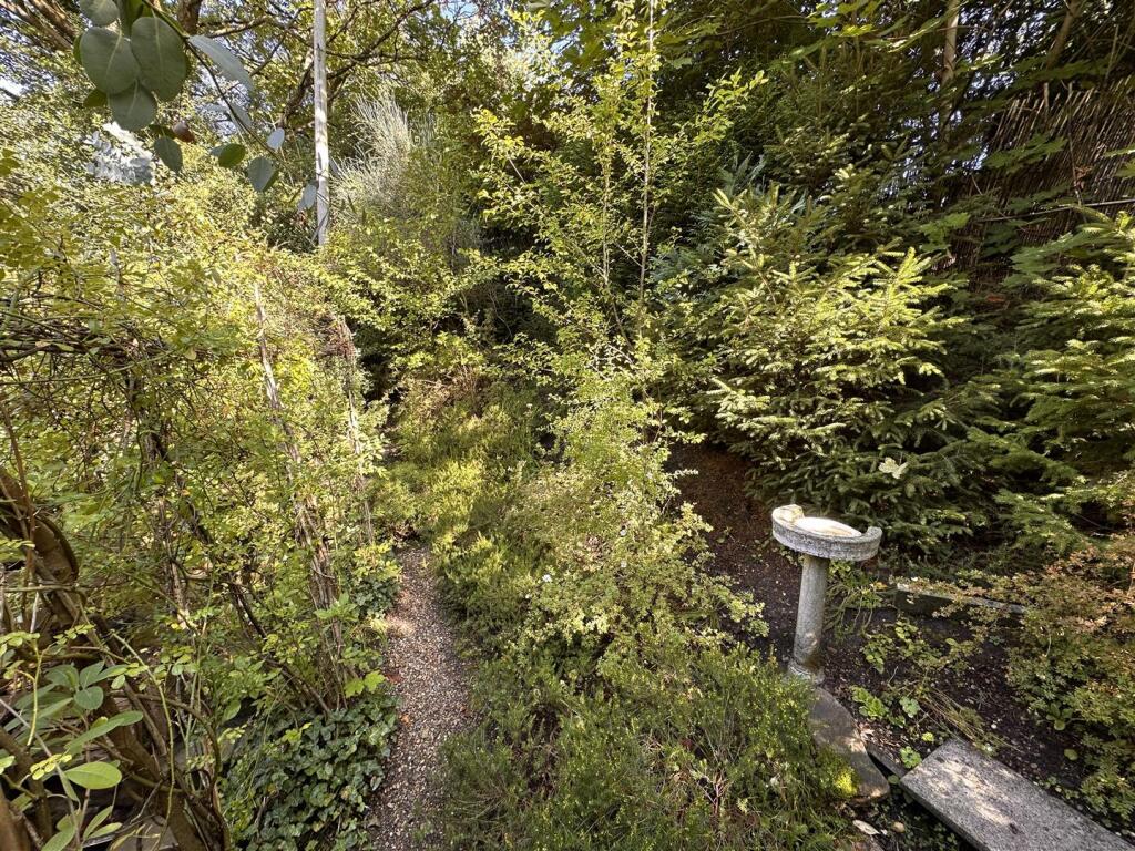 Garden 2.jpg